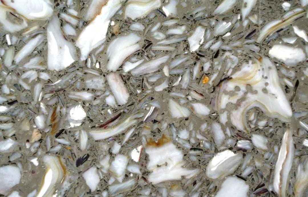 Oyster Reef Eco Quartz Slab Hawaii Stone Imports