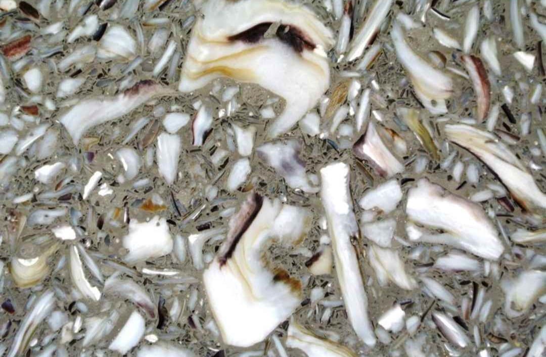 Oyster Reef Eco Quartz Slab Hawaii Stone Imports