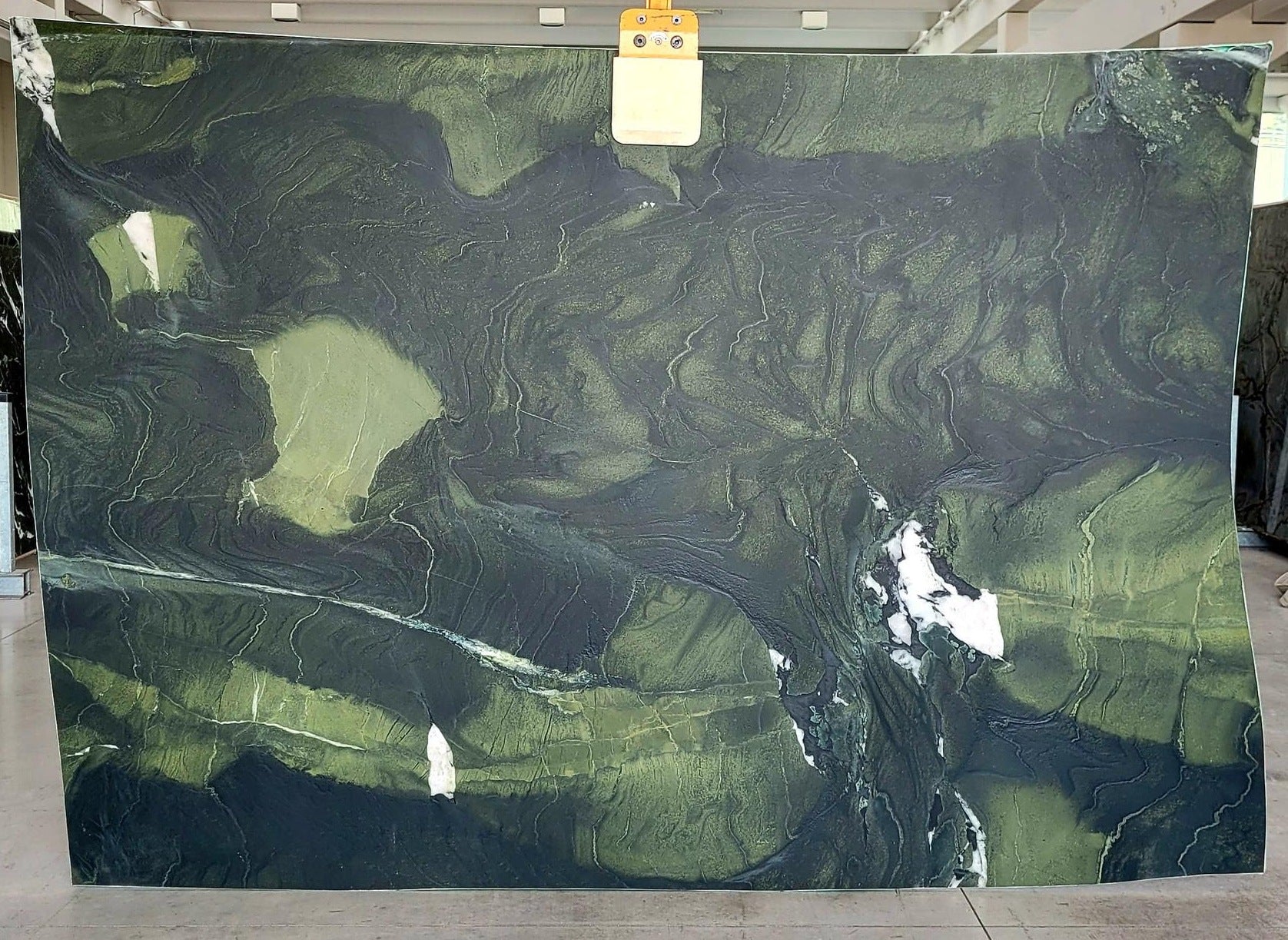 AVOCATUS Quartzite Polished Slab