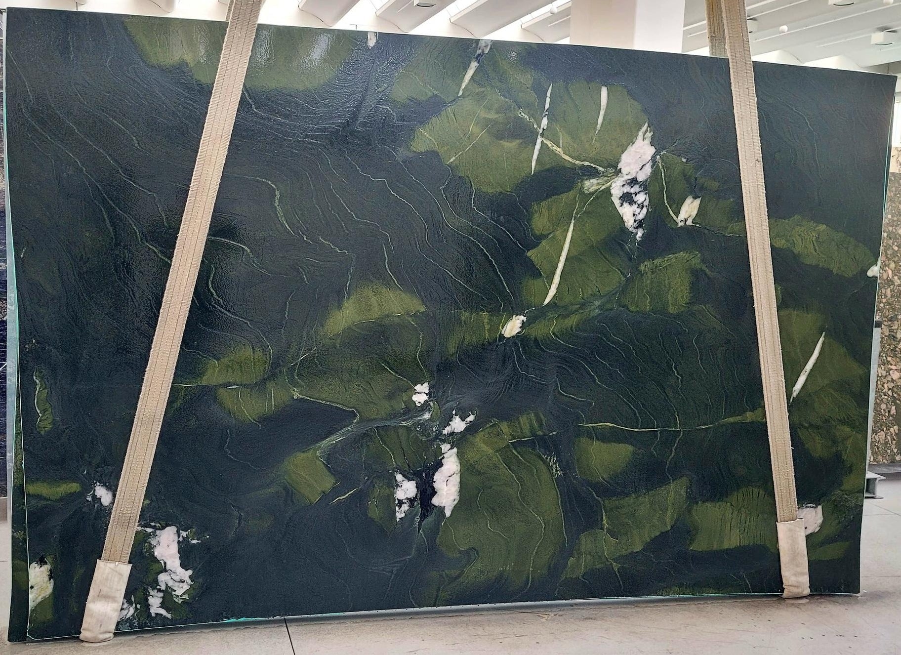 AVOCATUS Quartzite Polished Slab