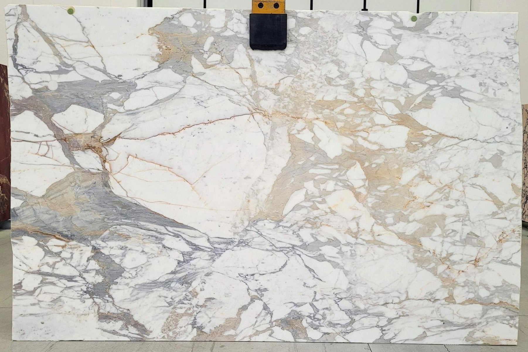 CALACATTA MACCHIA Marble Polished Slab