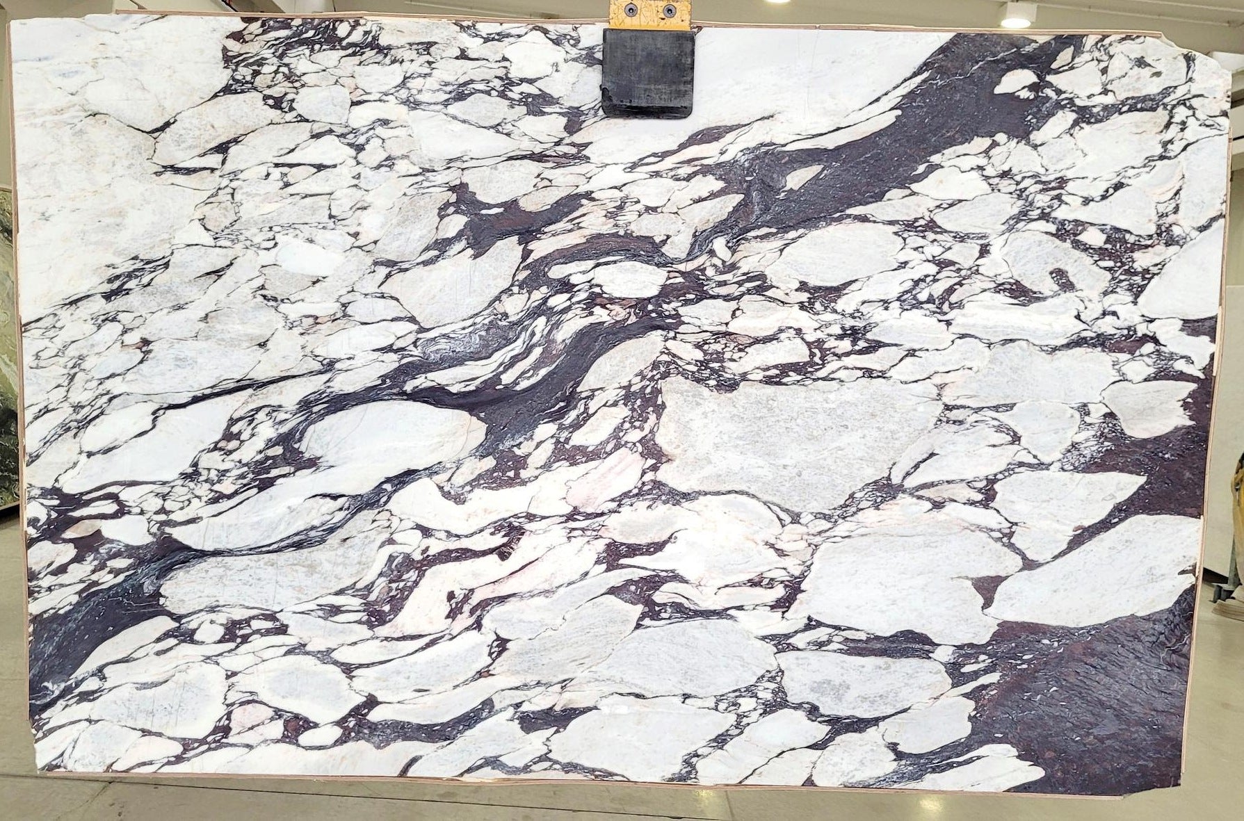 CALACATTA VIOLA Marble Polished Slab