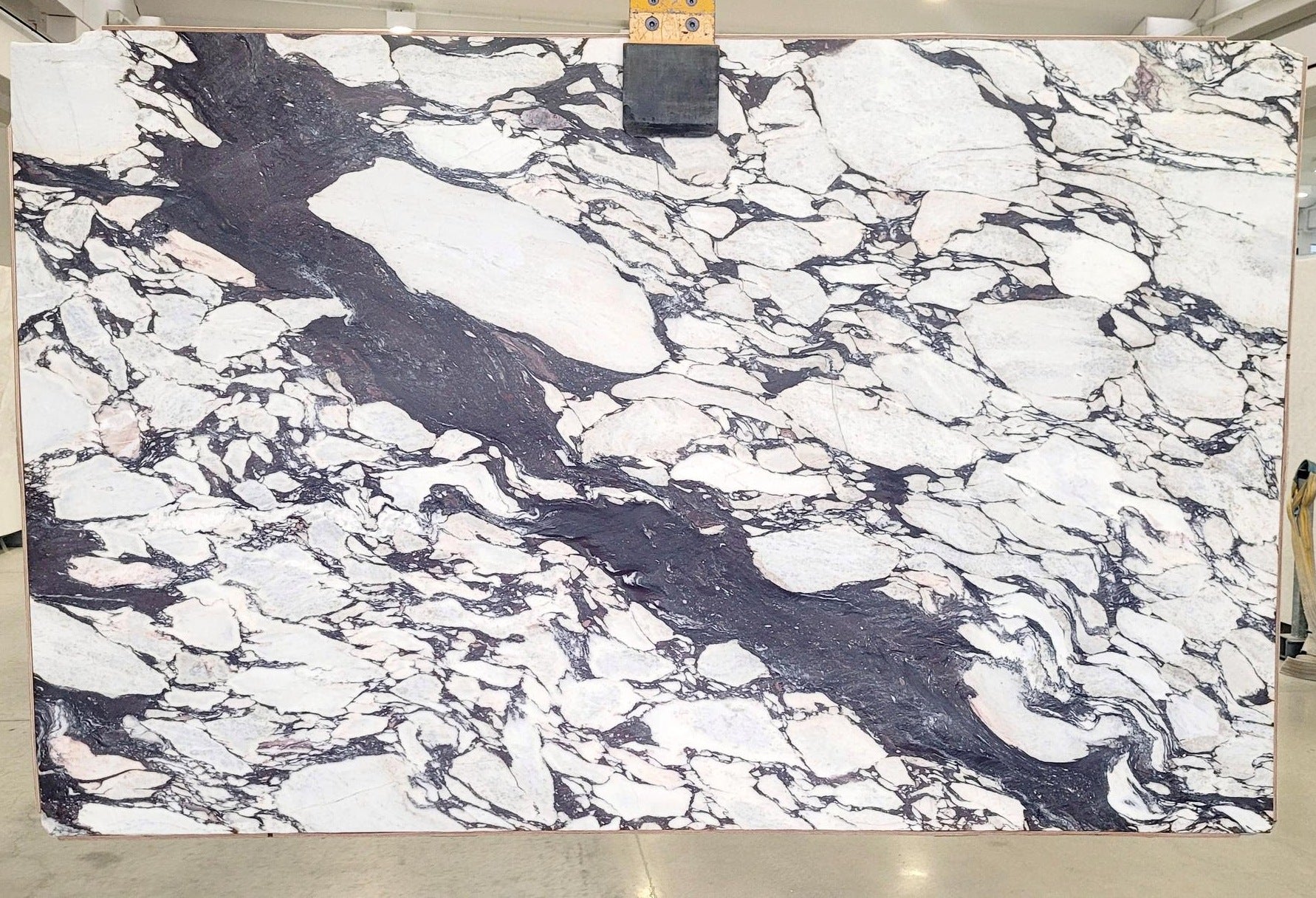 CALACATTA VIOLA Marble Polished Slab