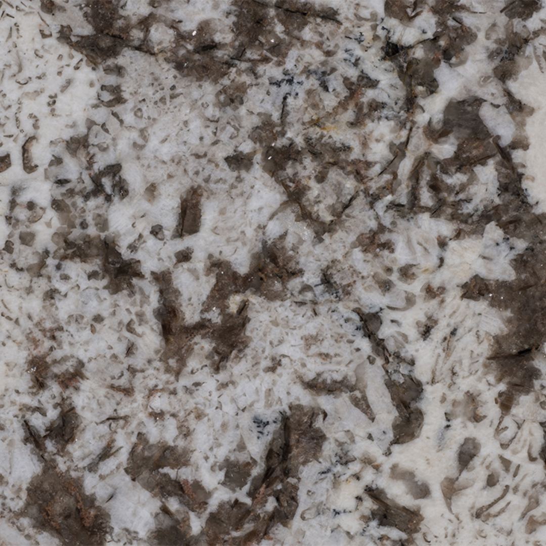 MAGNIFIC WHITE Granite Polished Slab
