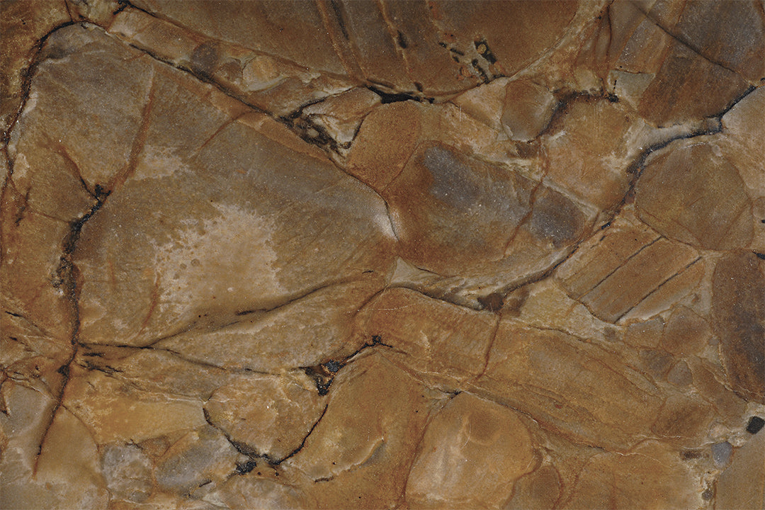 VIA APPIA Quartzite Polished Slab