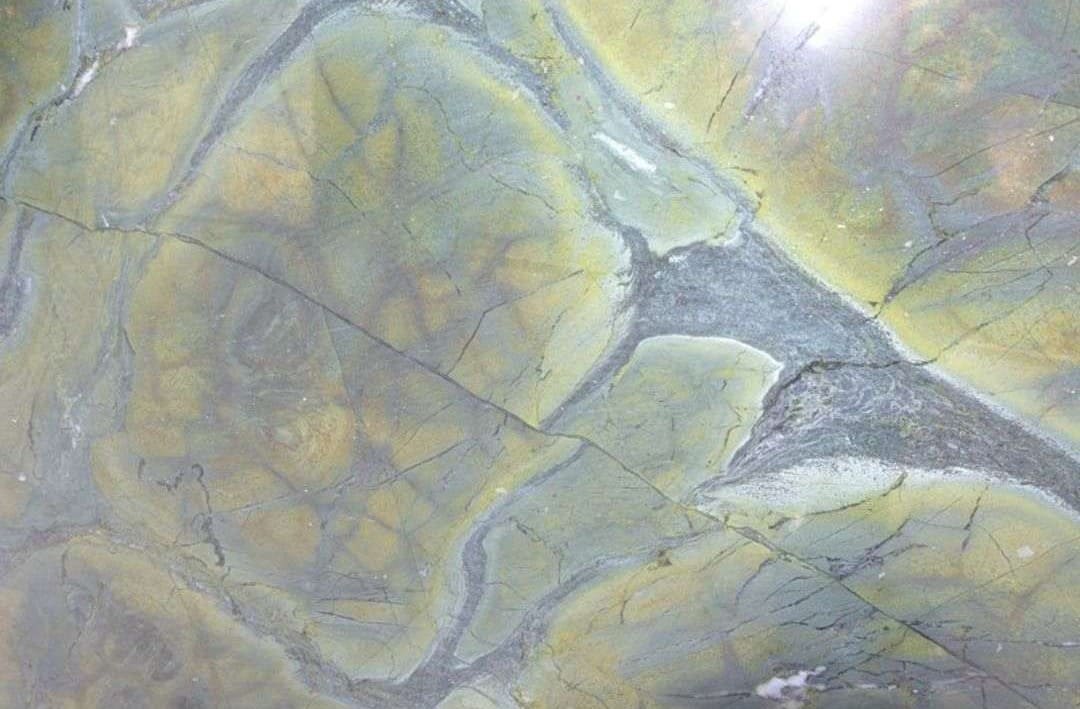 Vitoria Regia Quartzite Slab Hawaii Stone Imports