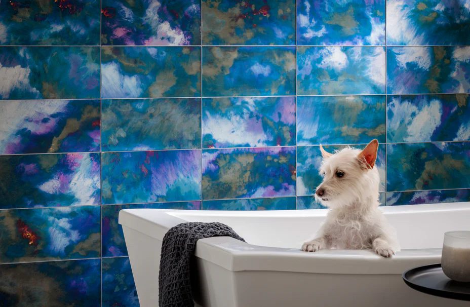 AFTERGLOW, ILLUSIONS 12x6