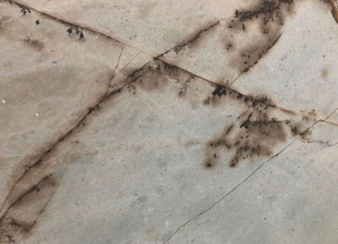 Greylina Quartzite Slab Hawaii Stone Imports