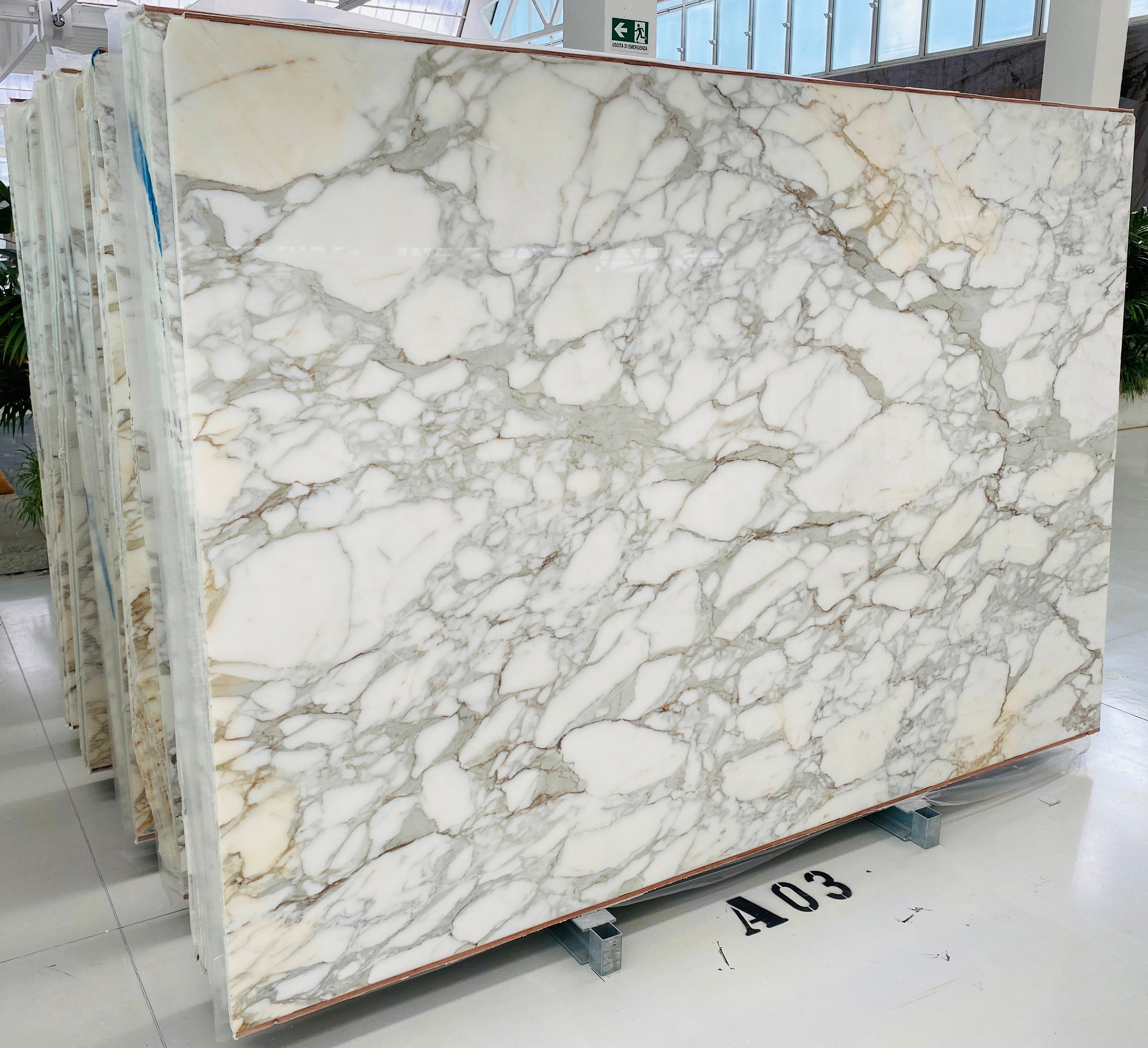 CALACATTA BORGHINI Marble Polished Slab