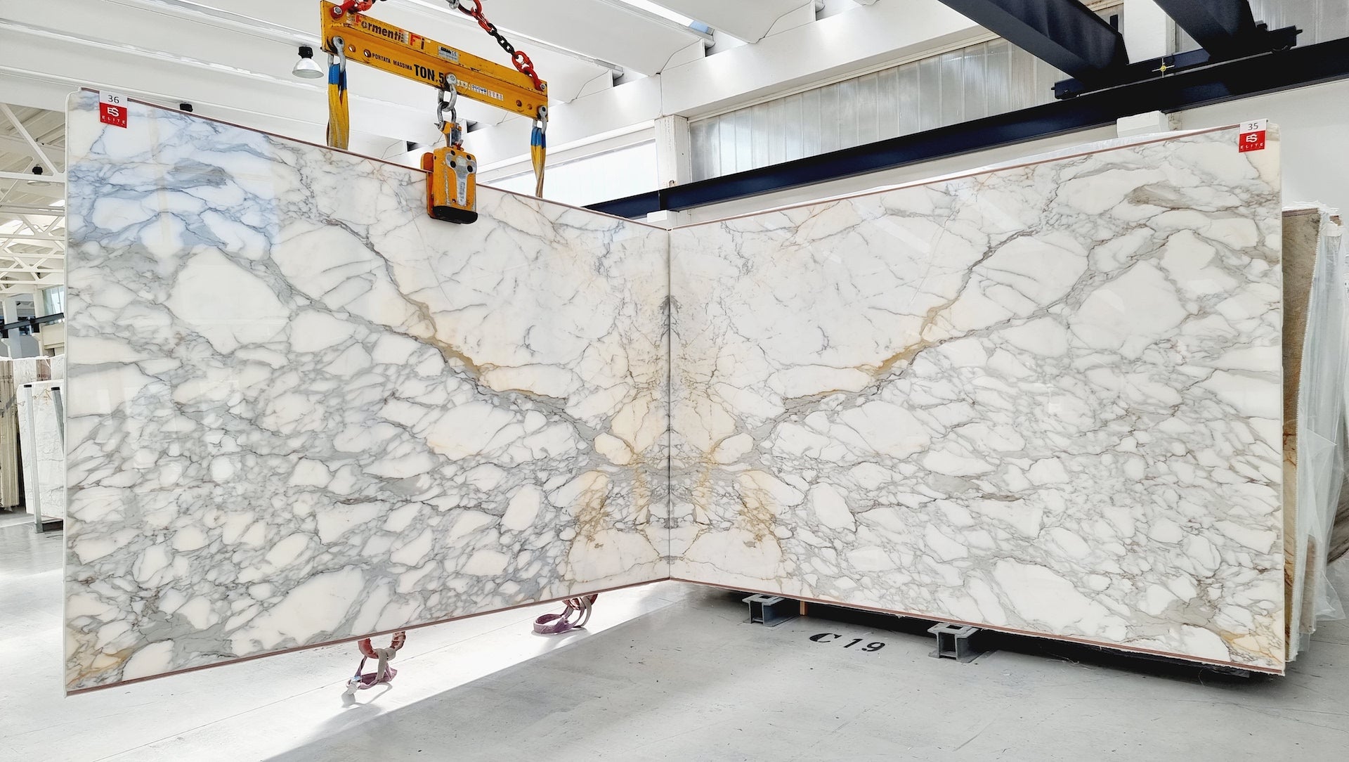 CALACATTA BORGHINI Marble Polished Slab