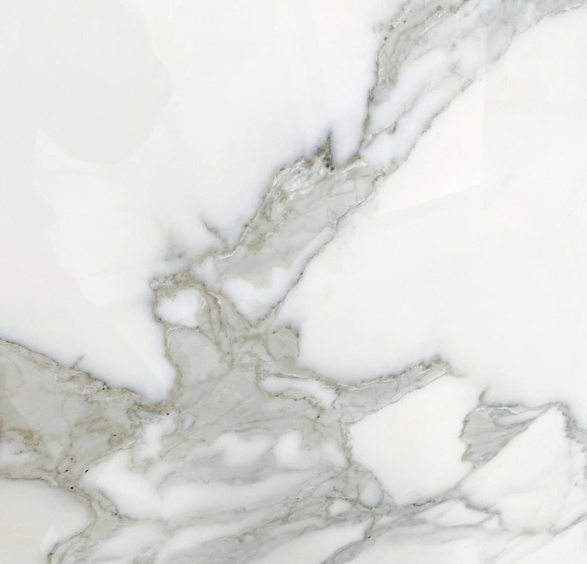 CALACATTA BORGHINI Marble Polished Slab