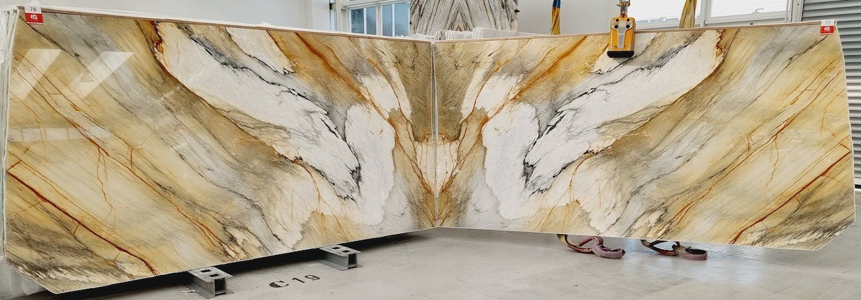 CALACATTA MACCHIA Marble Polished Slab