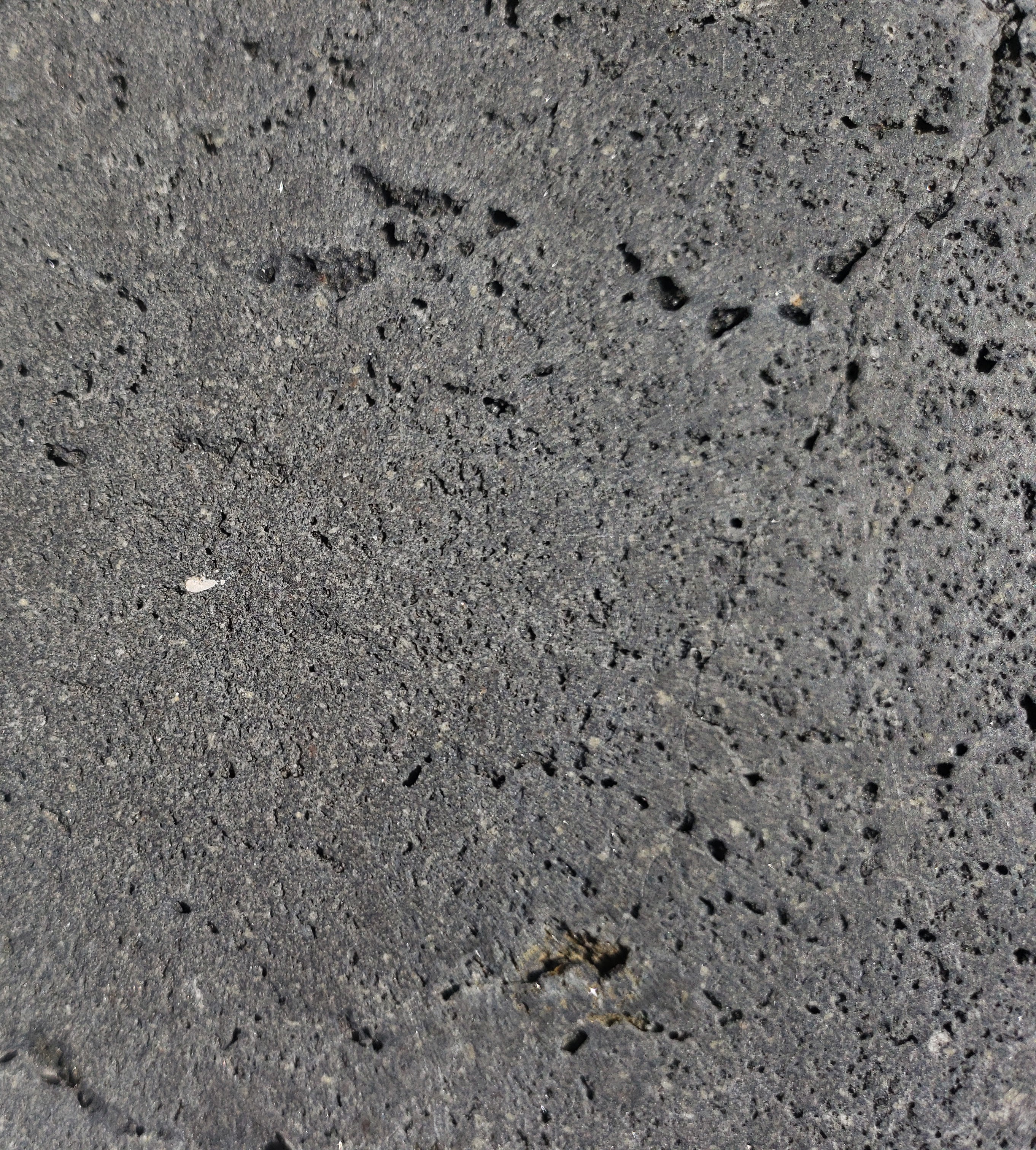 PUKA LAVA GREY - COBBLES, Basalt Brushed - 4" x 4" x 1.5" Paver & Flagstone