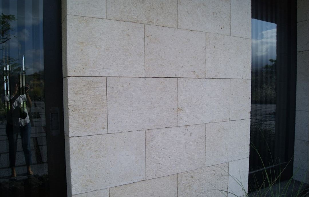 Coral Classic Wall Veneer Hawaii Stone Imports