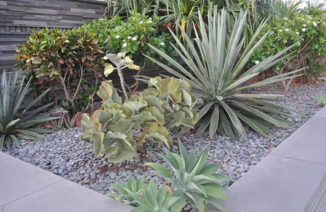 Medan Charcoal Garden Pebble Hawaii Stone Imports