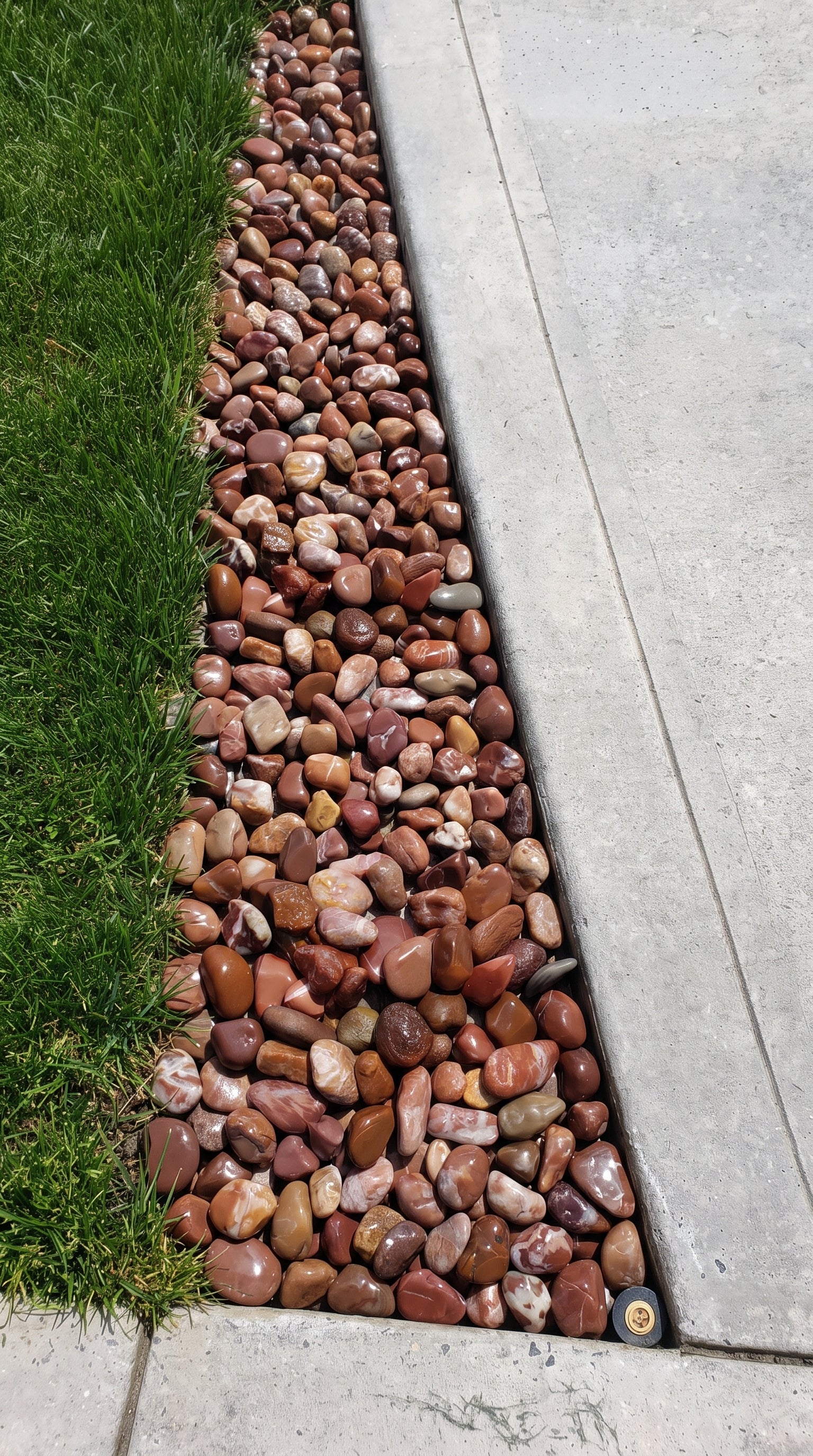 SICKNESS RED Polished Tumbled Garden Pebbles