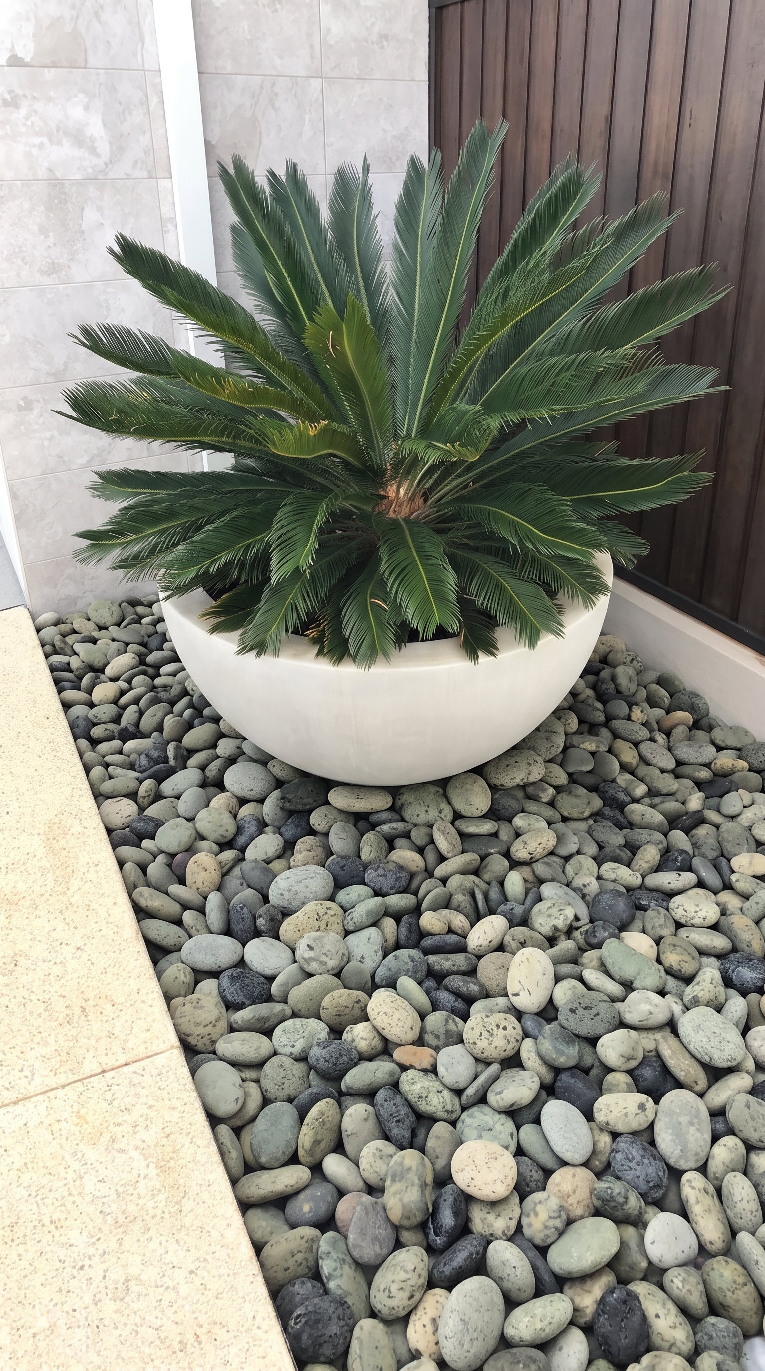 BLACKSPOT FLAT Polished Tumbled Garden Pebbles