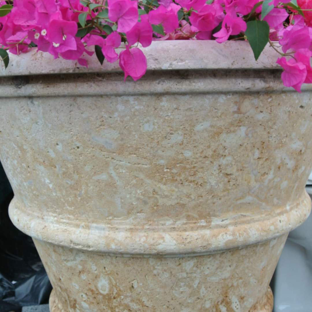 CORAL CLASSIC Saw Cut Planter