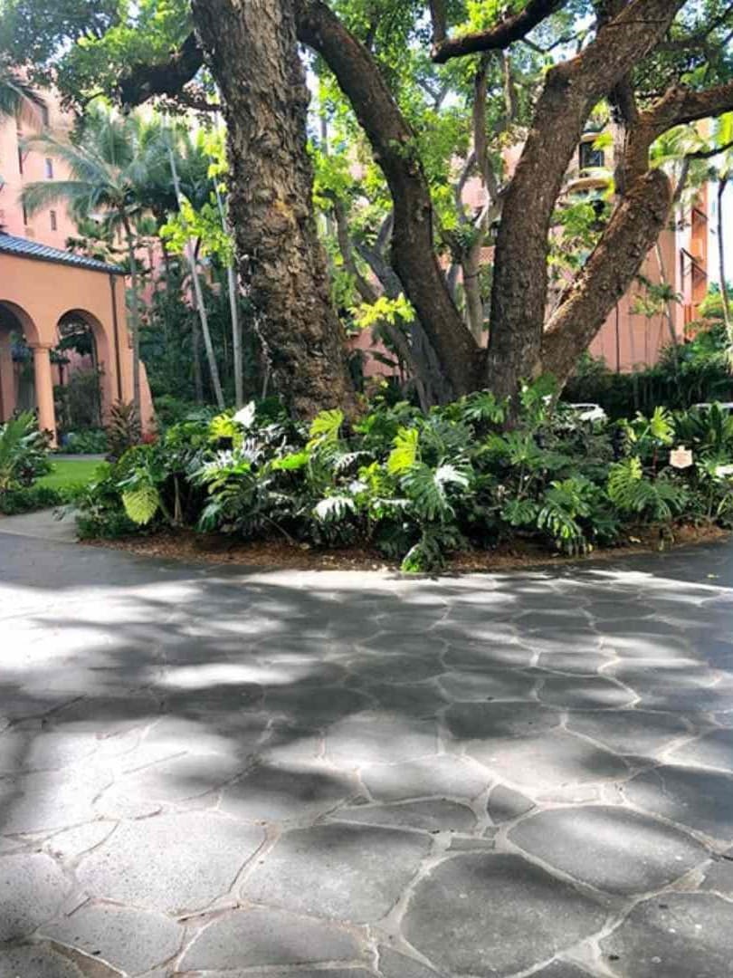 Puka Lava Grey basalt Paver Hawaii Stone Imports