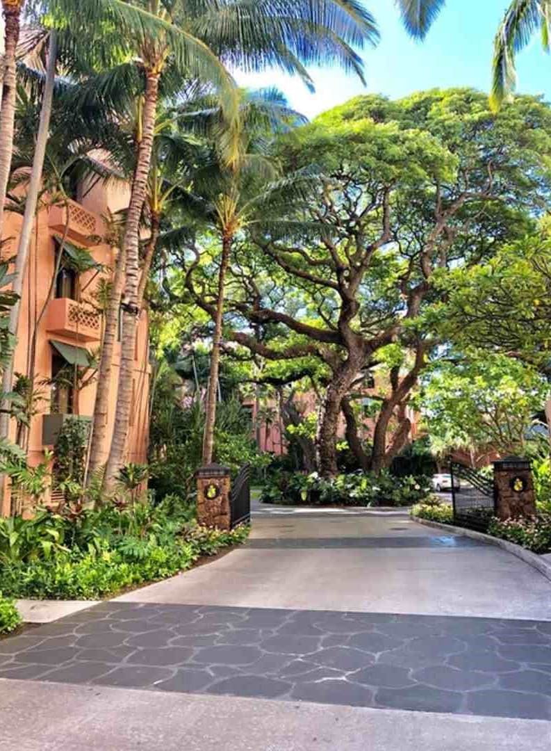 Puka Lava Grey basalt Paver Hawaii Stone Imports