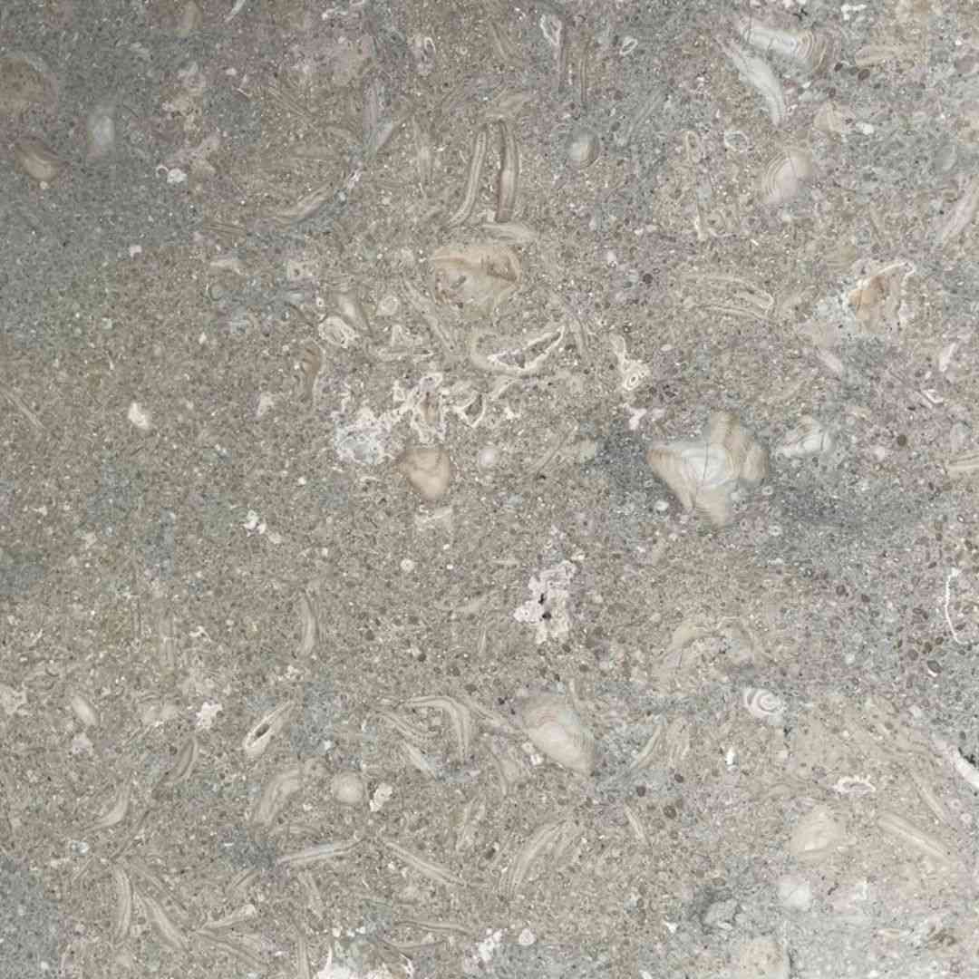 Seagrass Limestone Slab Hawaii Stone Imports