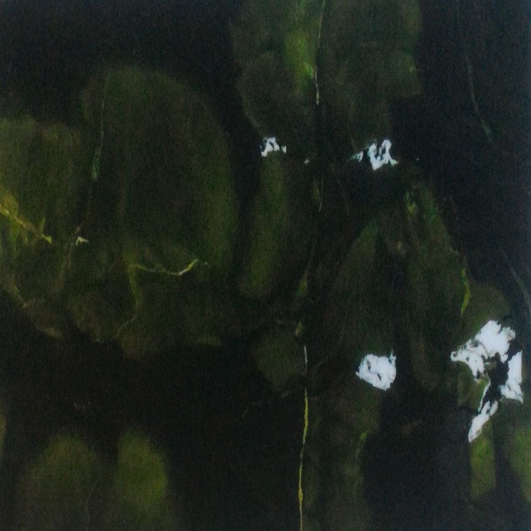 Avocatus Quartzite Slab Hawaii Stone Imports