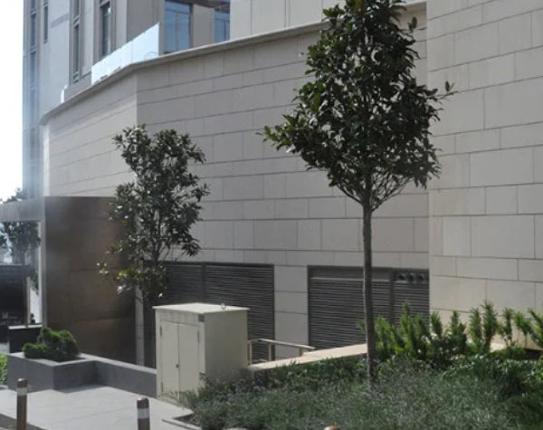 Branco Valongo Limestone Tile Hawaii Stone Imports