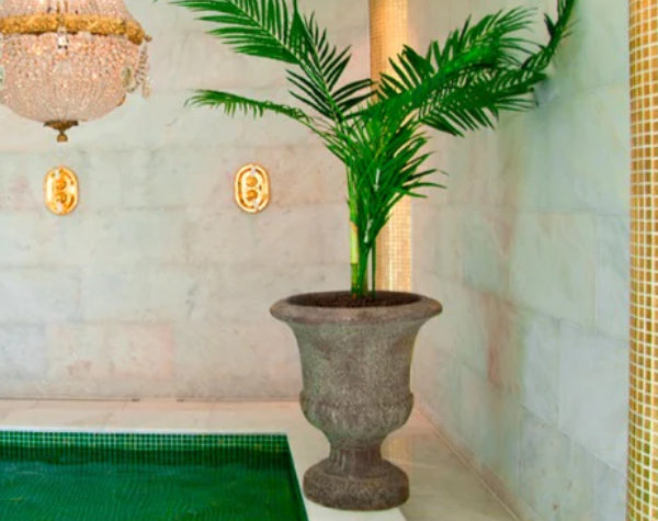 Estremoz Claro Limestone Tile Hawaii Stone Imports