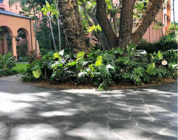 Puka Lava Grey Basalt Round Random Edge Paver Flagstone Hawaii Stone Imports