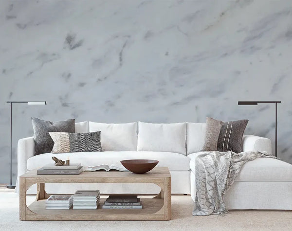 Living Room | White Aspen Marble Slab
