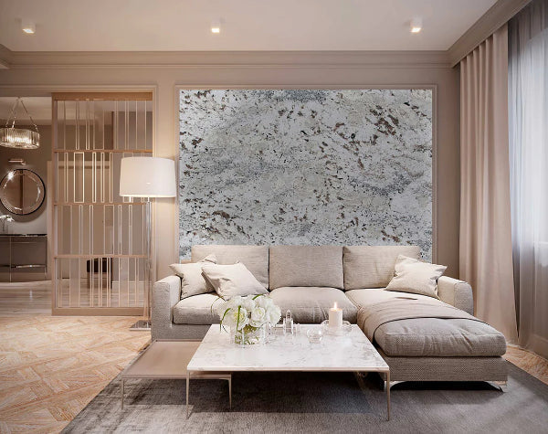 Living Room | Zurich Granite Slab