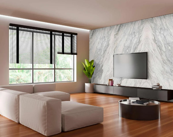 Living Room | Bianco Stella Marble Slab