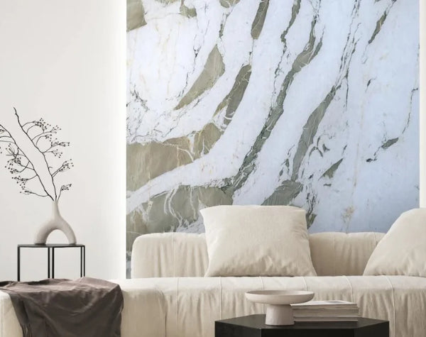 Living Room | Raggio D'Luna Quartzite Slab