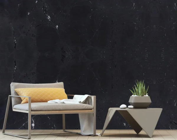 Living Room | Diamond Black Quartzite Slab