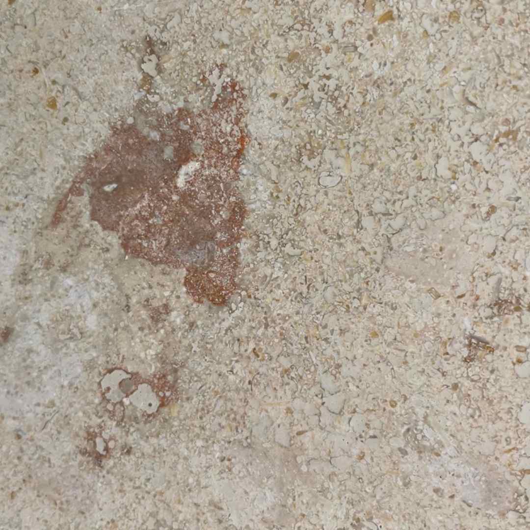 CORAL GEM Honed-Filled Slab