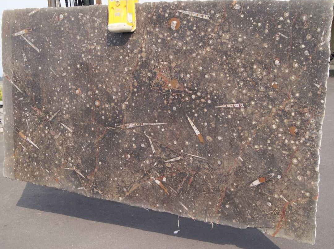 slab-limestone-brown-fossil-stone-0010-hawaii-stone-imports
