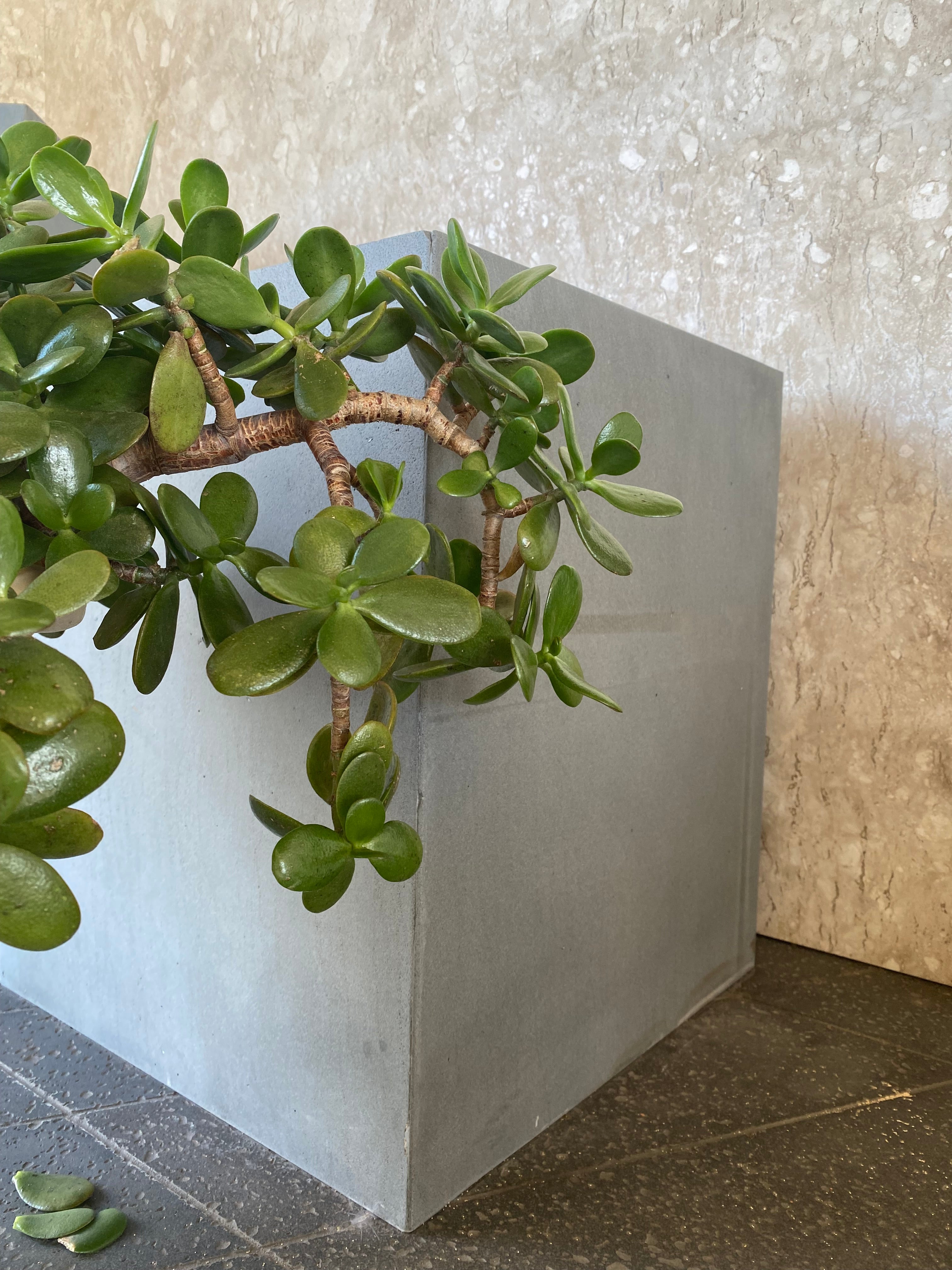 SOLID LAVA GREY Brushed Planter (LARGE)