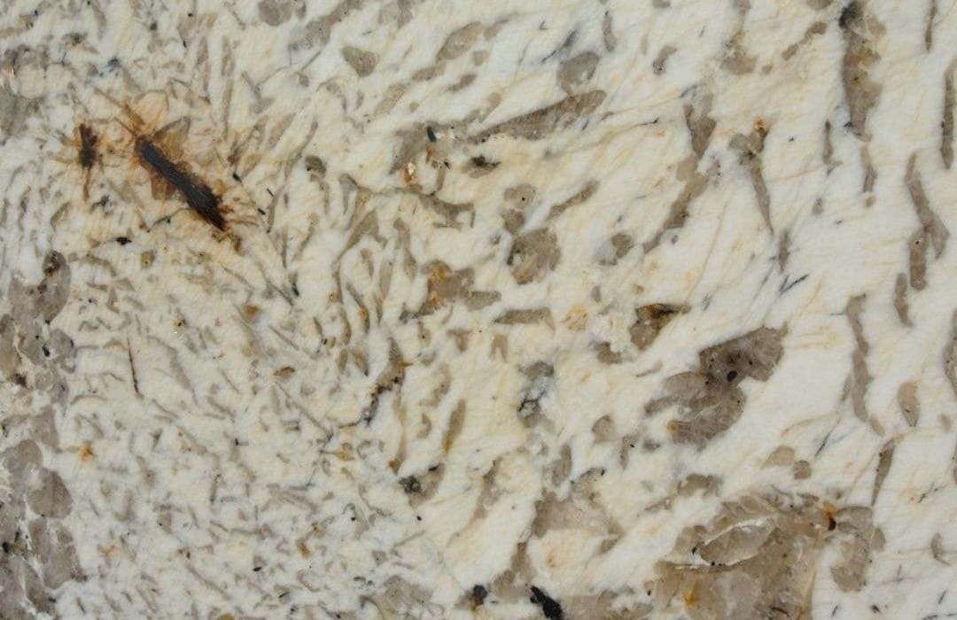 slab-granite-blanc-du-blanc-stone-0150-hawaii-stone-imports
