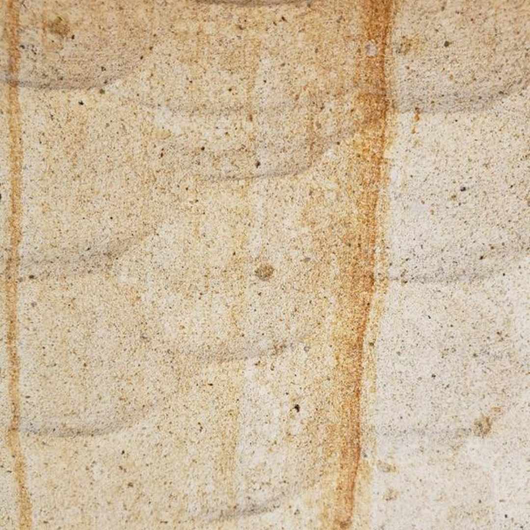 BEGAWAN Sandstone Crocodile Wall Veneer