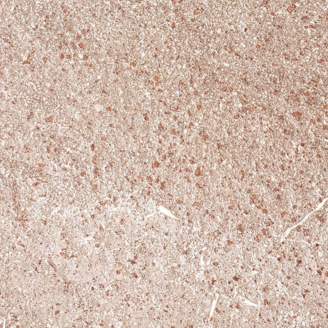 TROPICAL RED Basalt Flamed/Brushed Wall Veneer