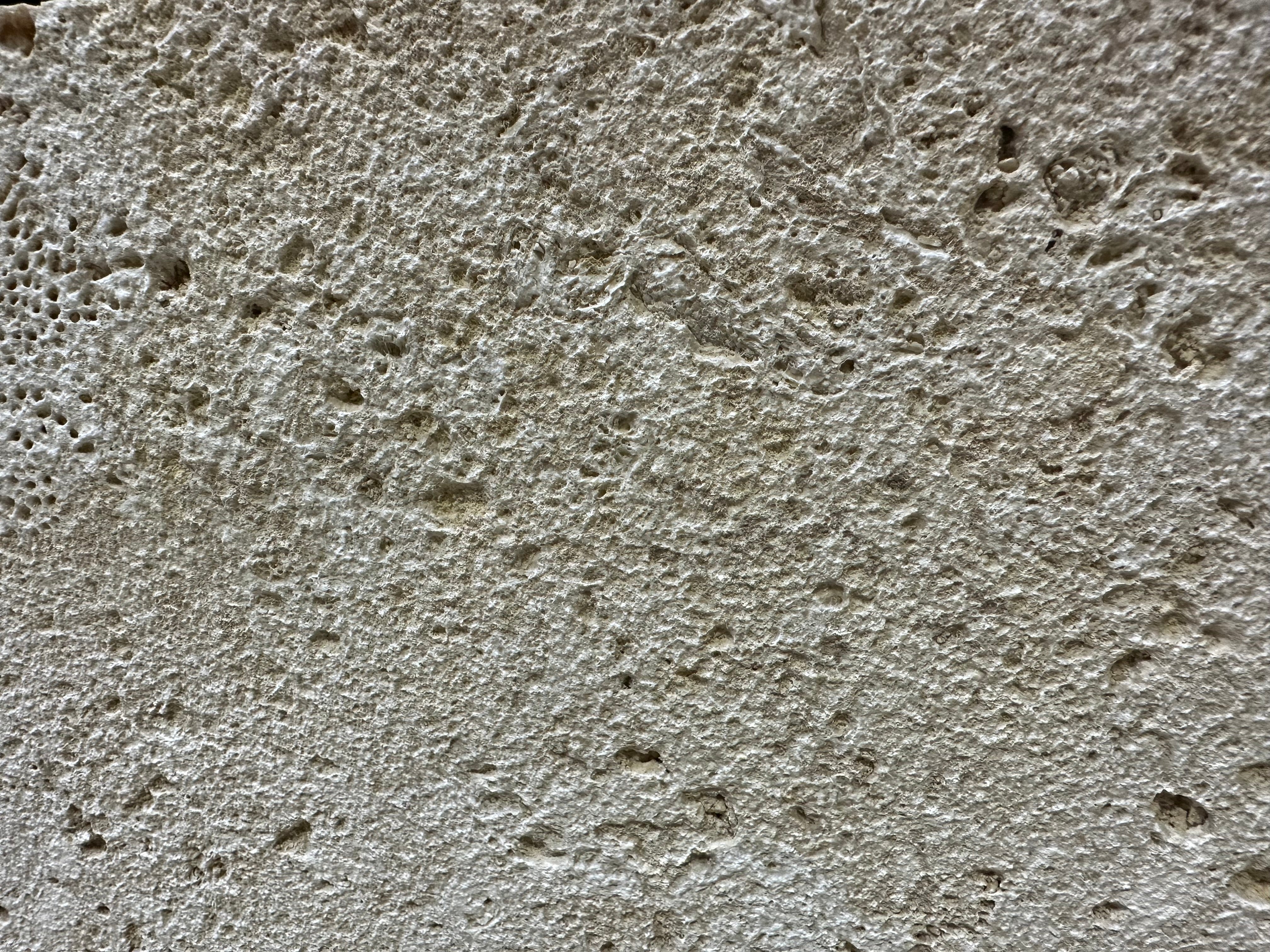 Coral Classic Wall Veneer Hawaii Stone Imports
