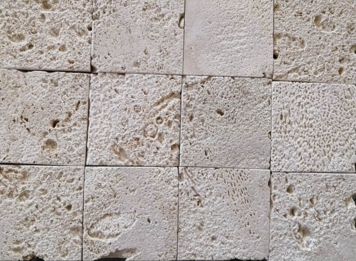 Coral Gem Wall Veneer Hawaii Stone Imports