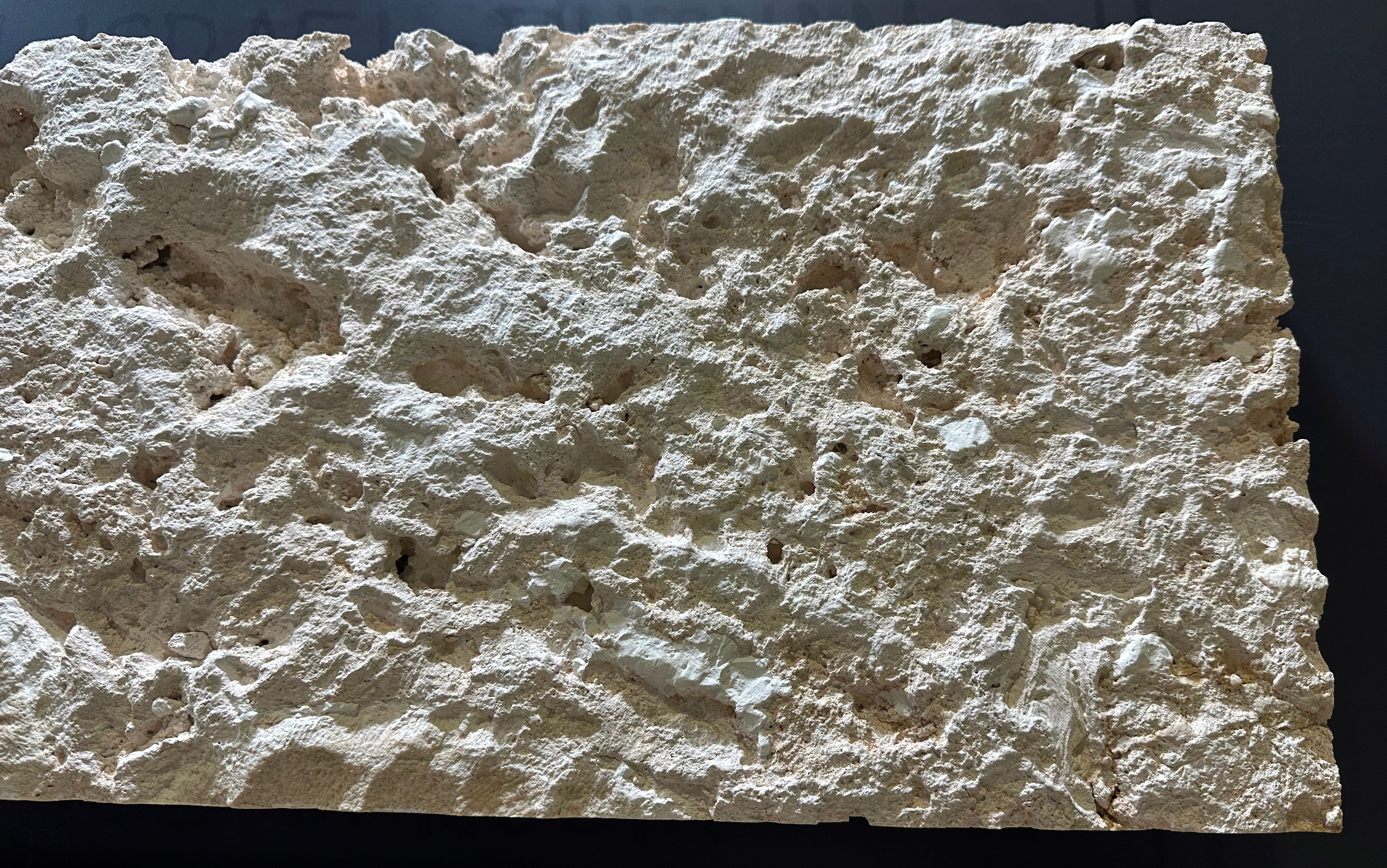 Coral Gem Wall Veneer Hawaii Stone Imports