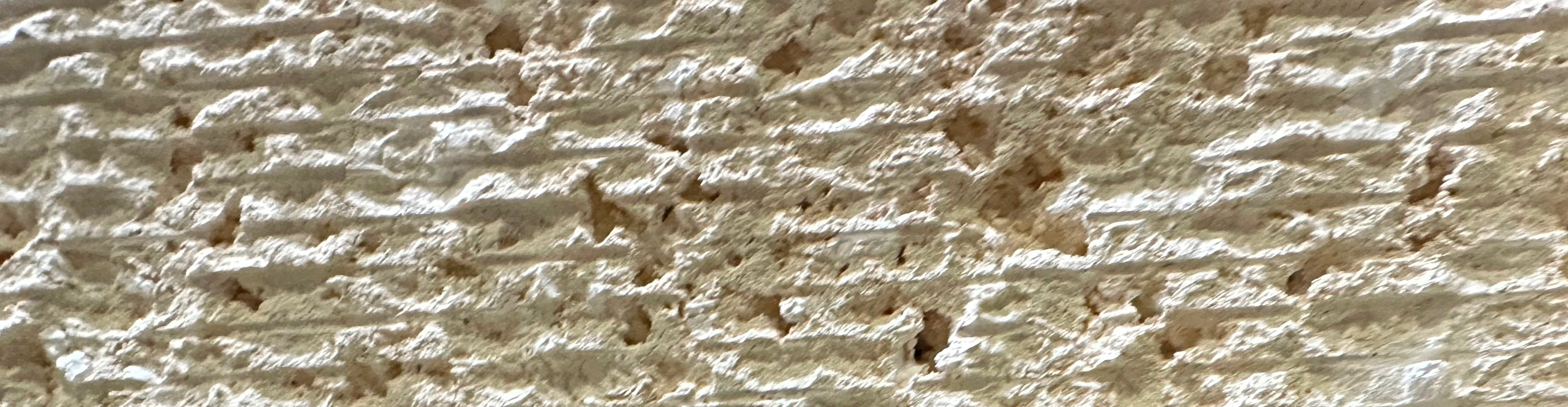 Coral Gem Wall Veneer Hawaii Stone Imports