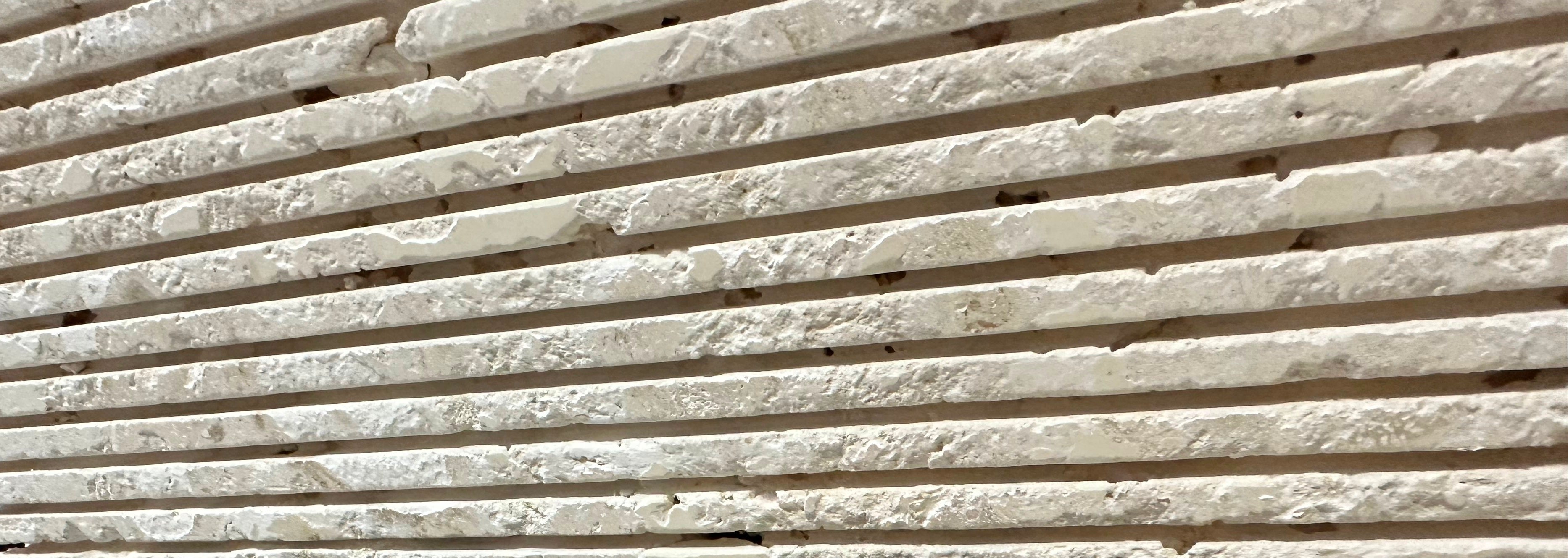 Coral Gem Wall Veneer Hawaii Stone Imports