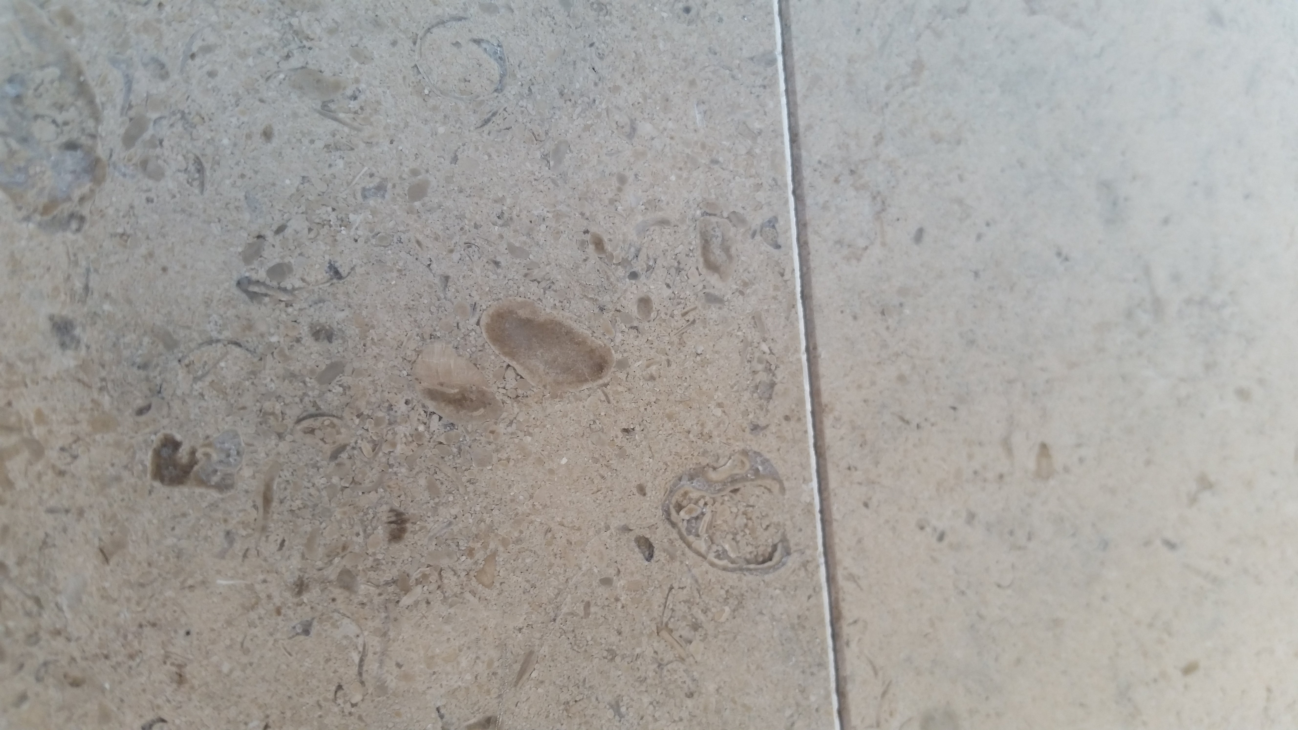 GASCOGNE BLUE Limestone Honed Tile