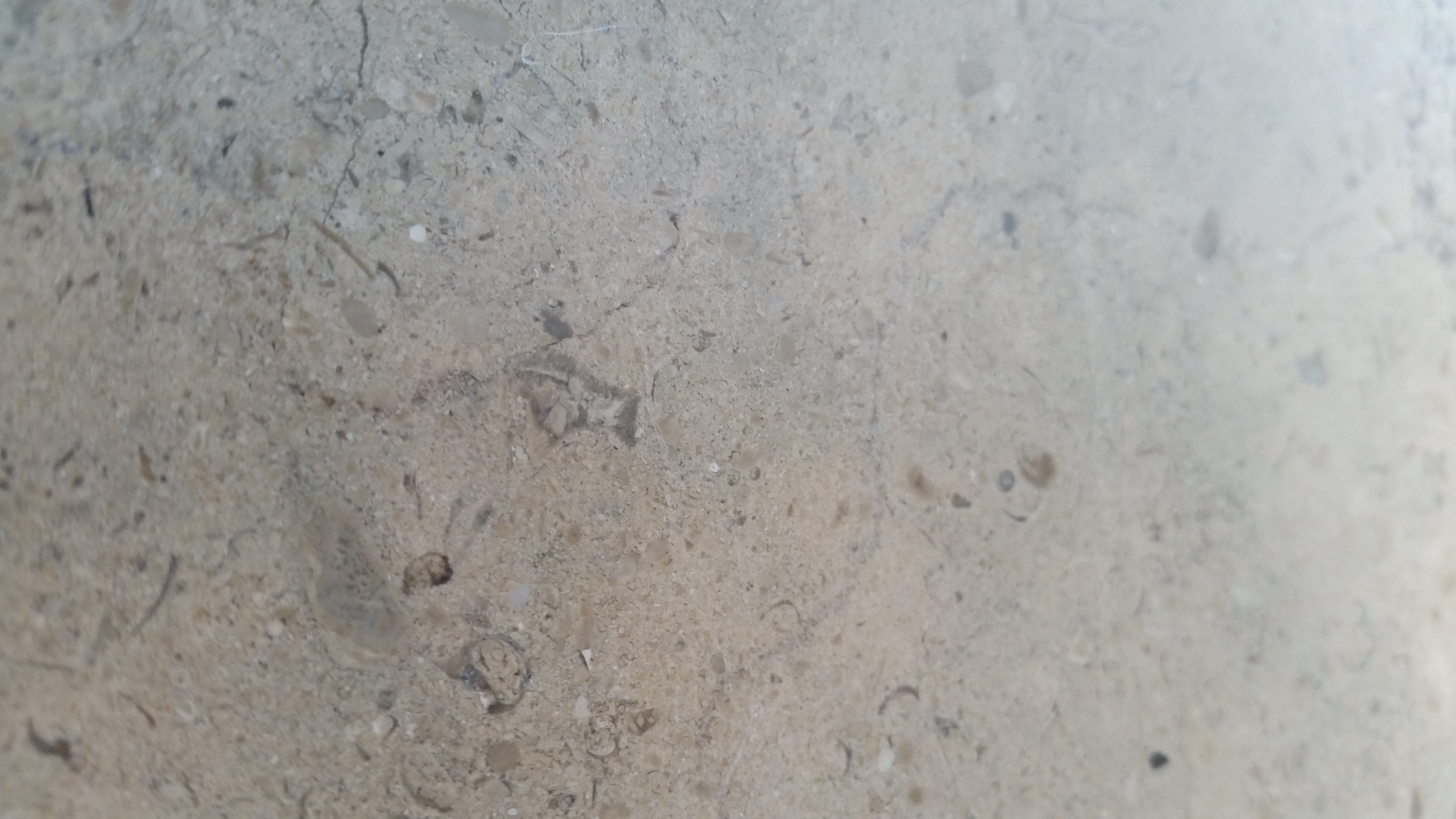 GASCOGNE BLUE Limestone Honed Tile