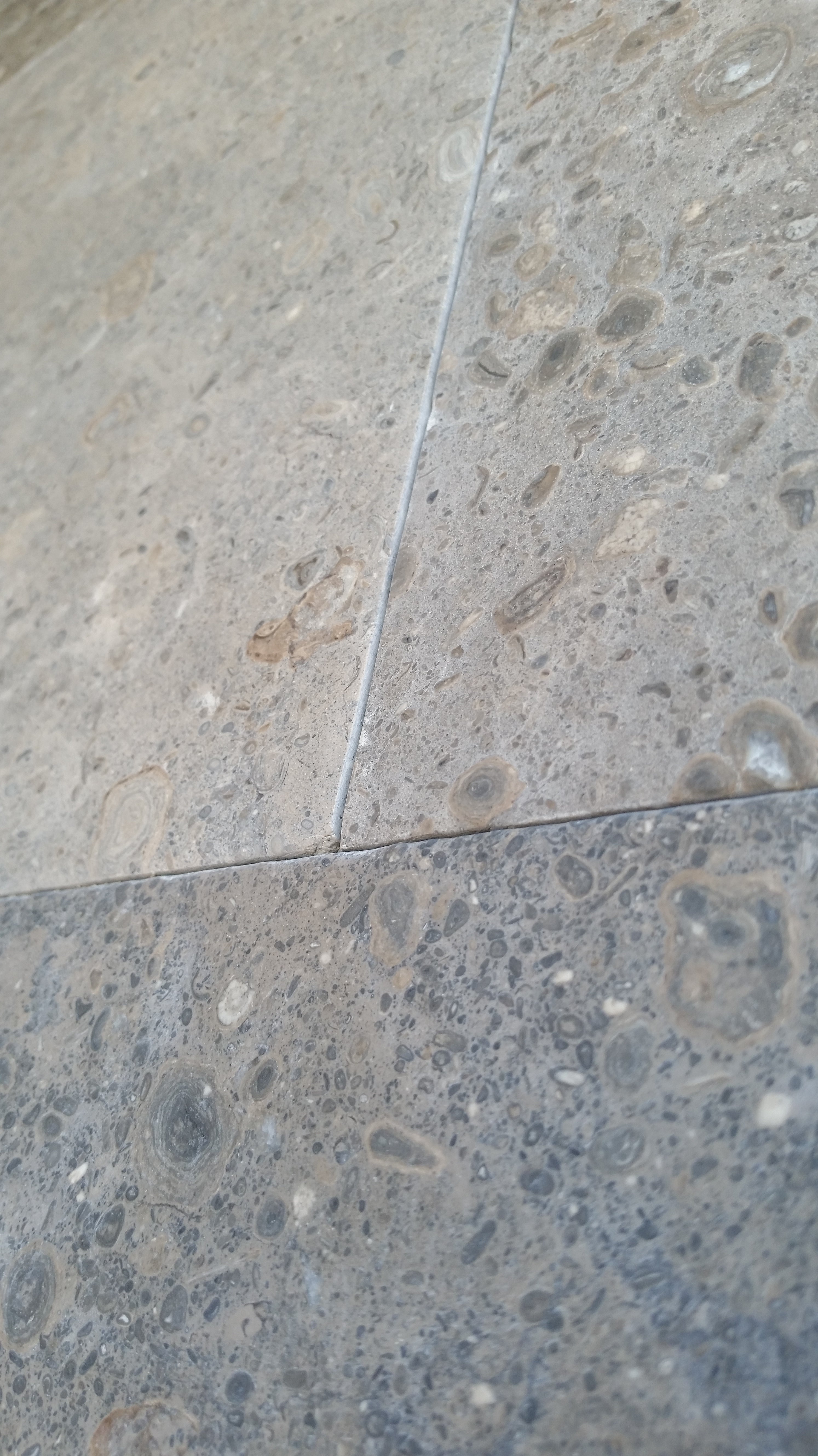 NOVA BLUE Limestone Brushed Tile