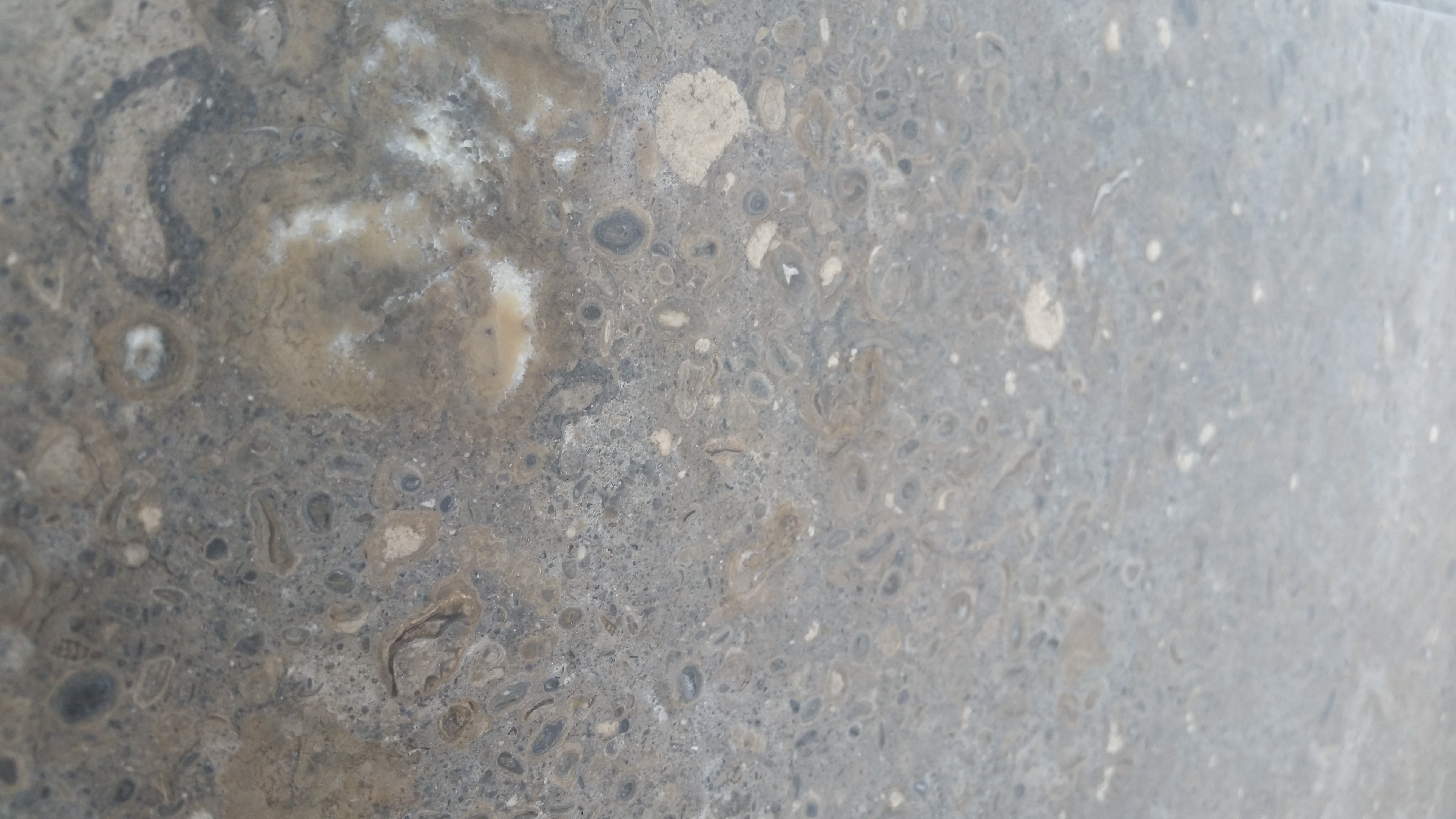 NOVA BLUE Limestone Brushed Tile