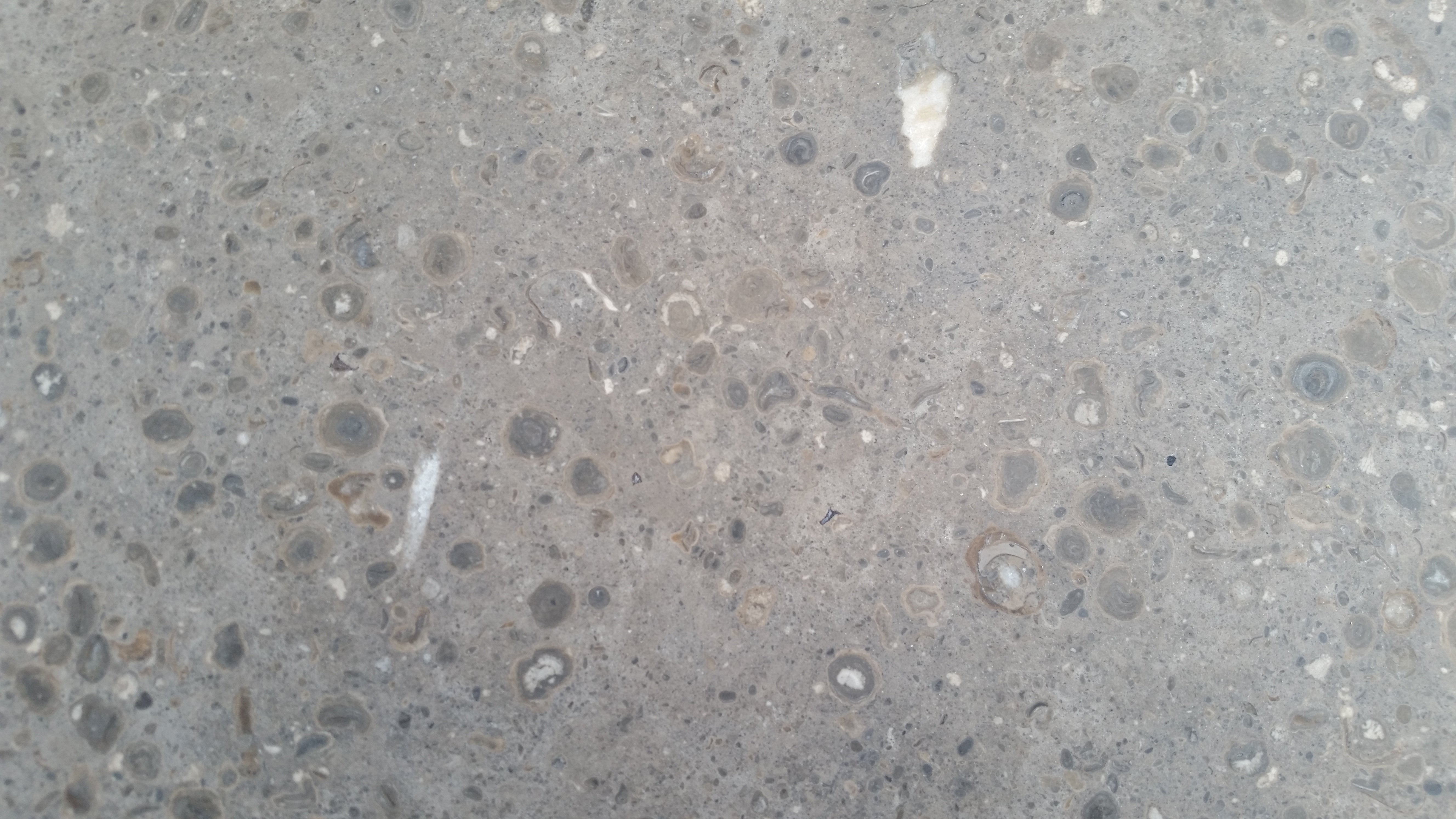 NOVA BLUE Limestone Honed Tile